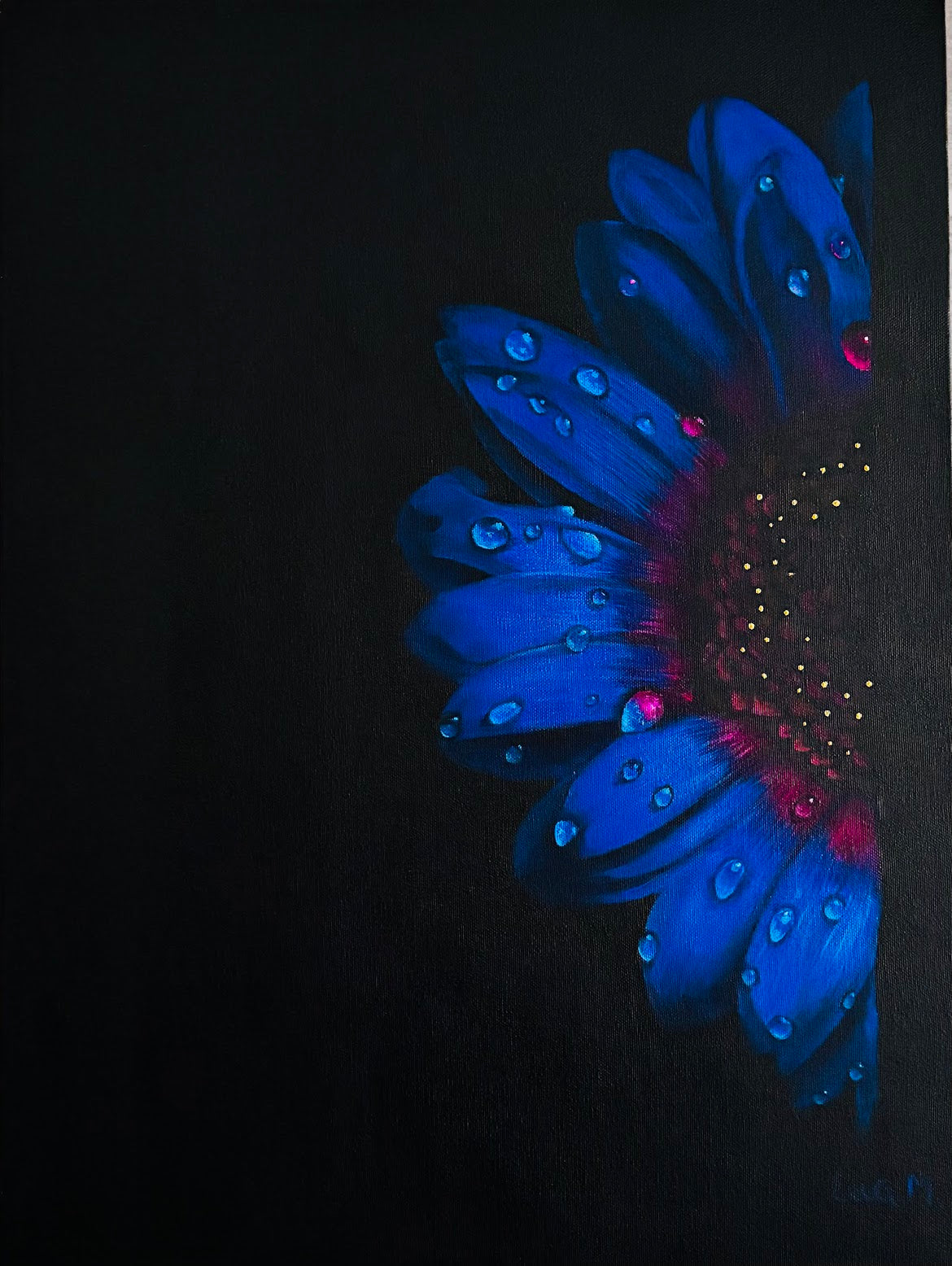 Midnight Bloom